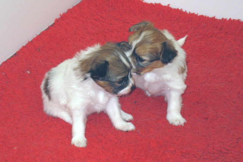 Nos bébés